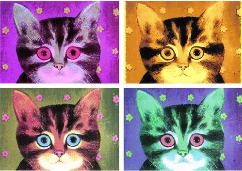 4 Cats " Pop Art " - a photo on Flickriver
