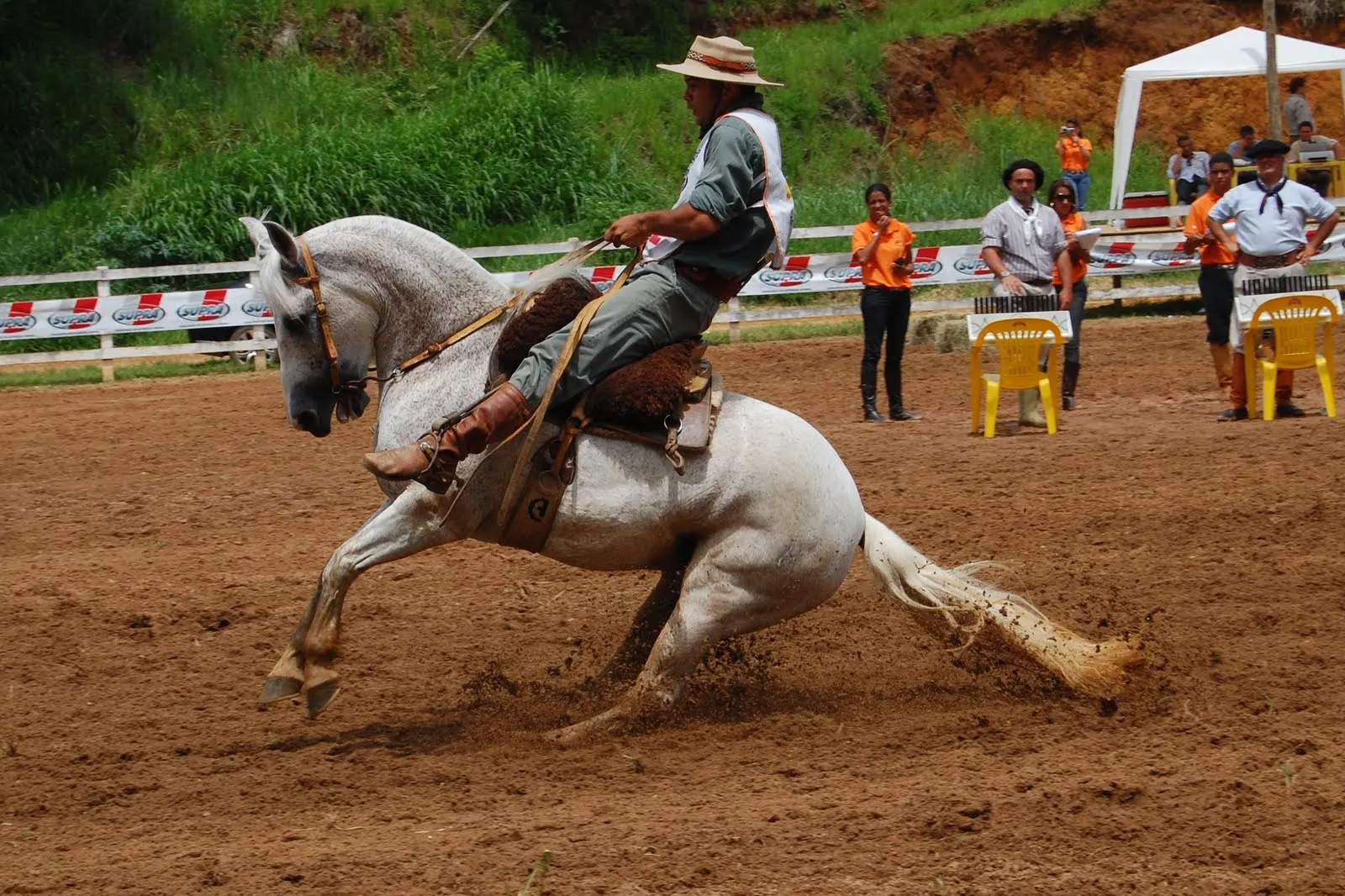 Cavalo Crioulo | PONTO DE VISTA # CLIC PENSADO