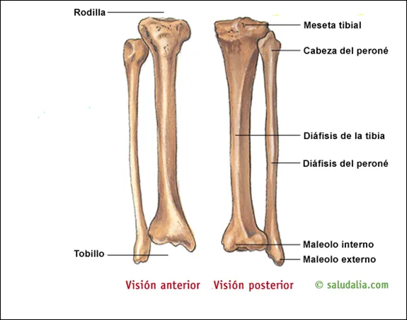 CEANFI (Centro de Estudiantes de Antropología Física-Forense): 5 ...