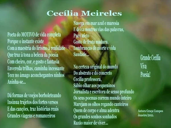 Cecilia meireles frases - Imagui