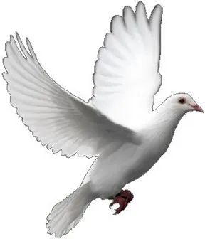 CEIP "Ntra. Sra. de la Caridad" BIBLIOTECA