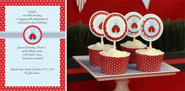 Celebrando con estilo: Baby Shower Tortolitas (