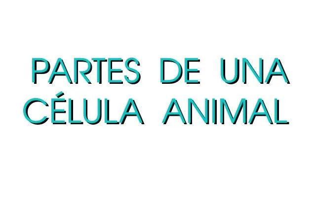 Célula animal con plastilina