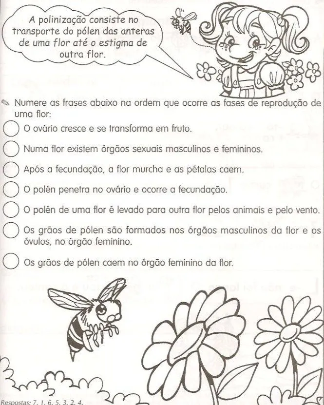 Centro de atividades escolares - Josefa Krysiaki: Partes da flor ...