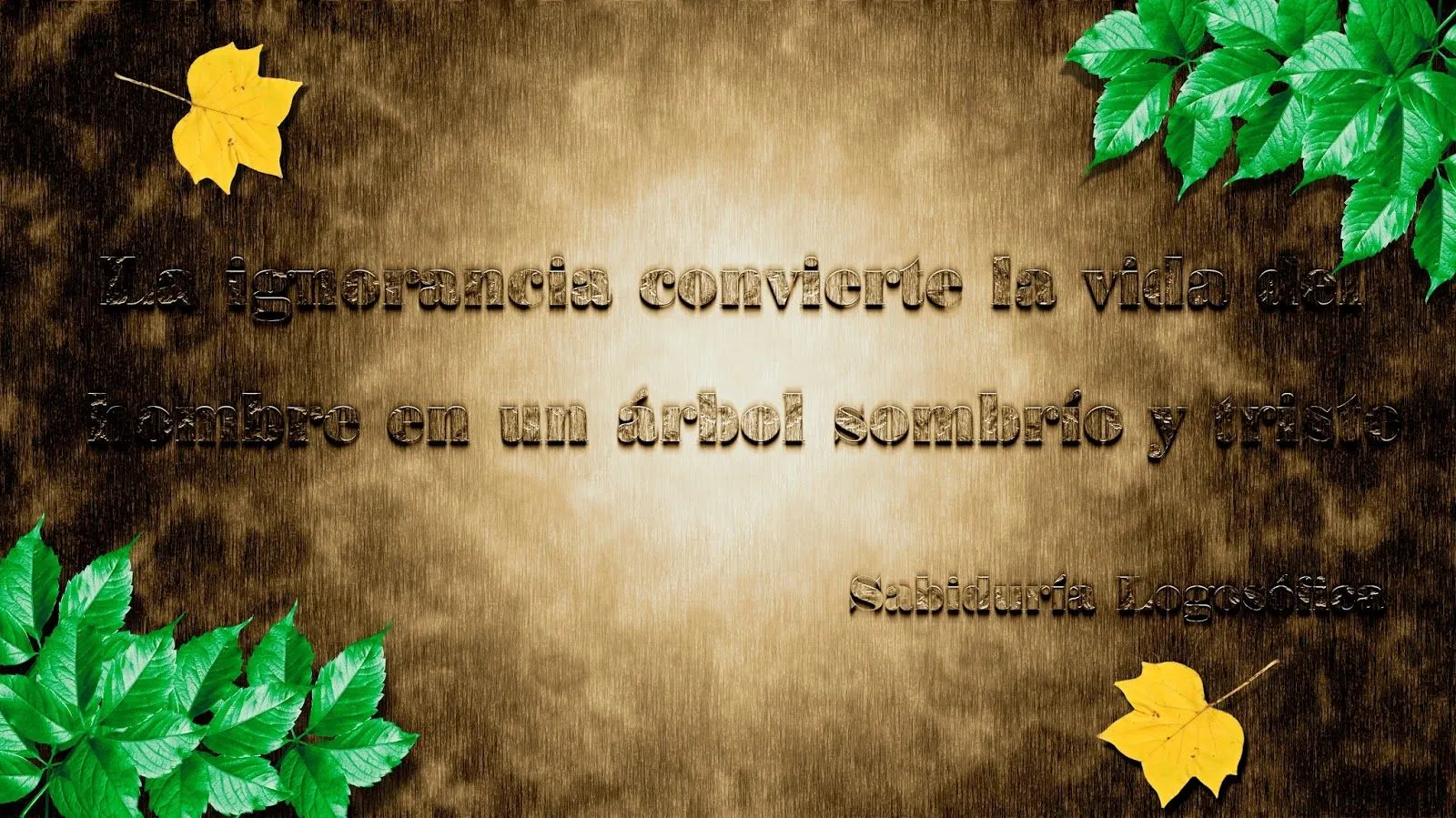 Centro de Estudios Logosóficos de México A. C.: Reflexion del mes