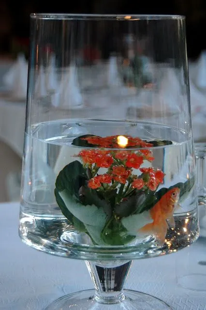 Centro De Mesa De Peces en Pinterest | Centros De Mesa De Pez Para ...