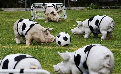 Cerdos futbolistas - Fotos de animales - Humor12.