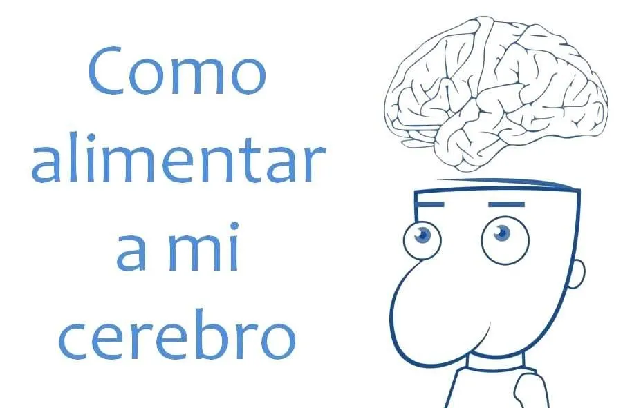 El cerebro para niños para colorear - Imagui