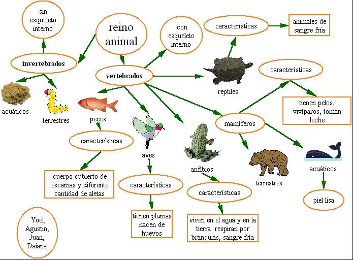 cereza: los animales invertebrados