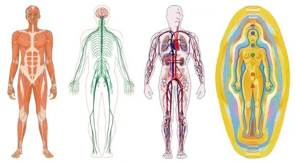 Chakras | Reiki 3.0