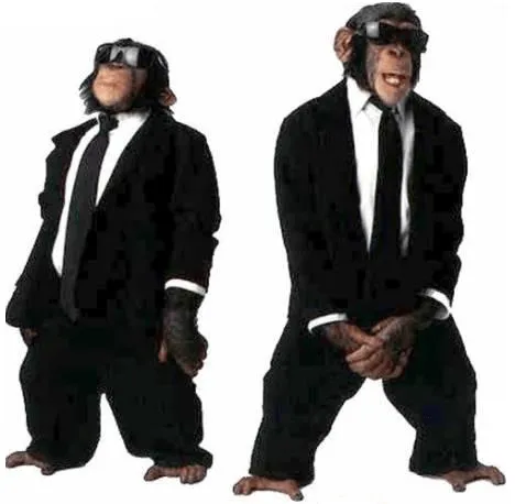 changos macacos