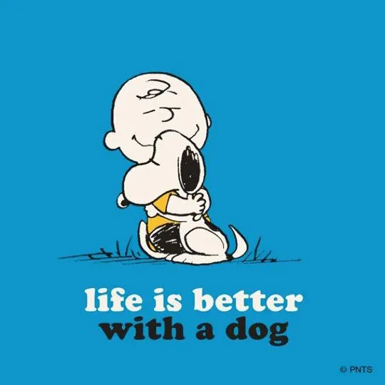 Charlie Brown – Live & Learn