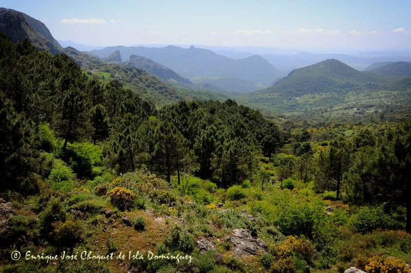 charrancito andaluz: PAISAJES DE ANDALUCÍA