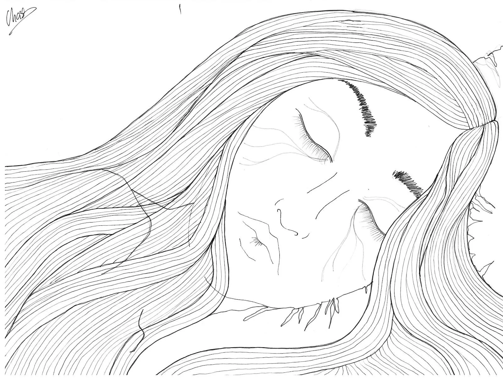 CHASELAND: febrero 2012