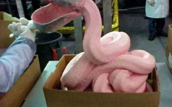 Chef británico gana batalla a McDonald's tras probar que usa carne ...