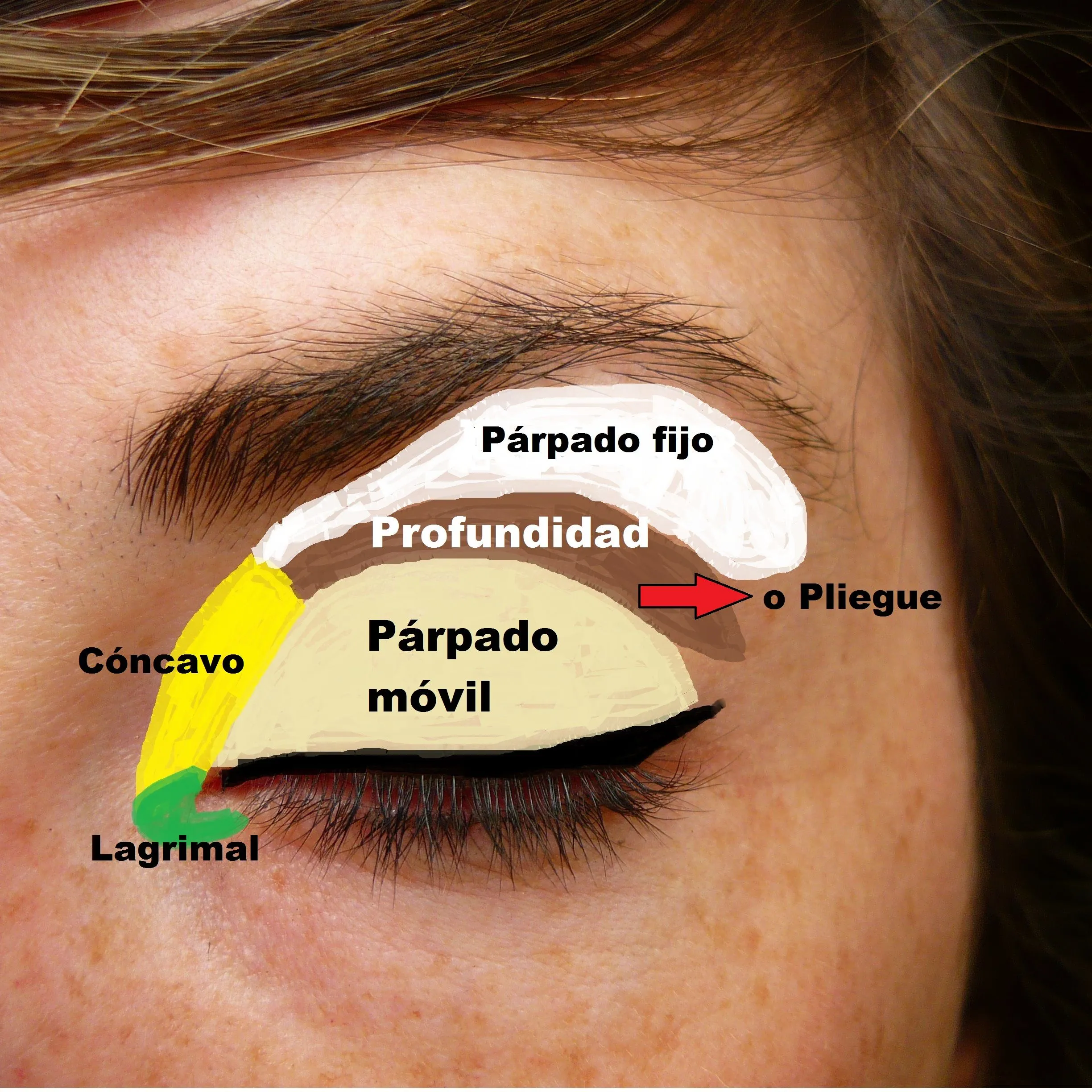 Chica Clasica: Como Maquillar diferentes Tipos de Ojos