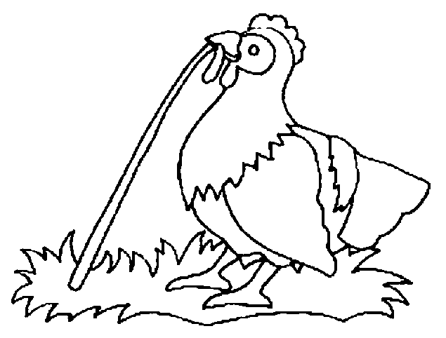 Chicken Free Coloring Page