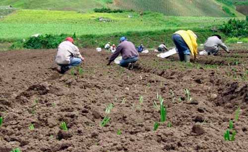 Chile lanza una nueva política nacional de Desarrollo Rural : AGRO ...