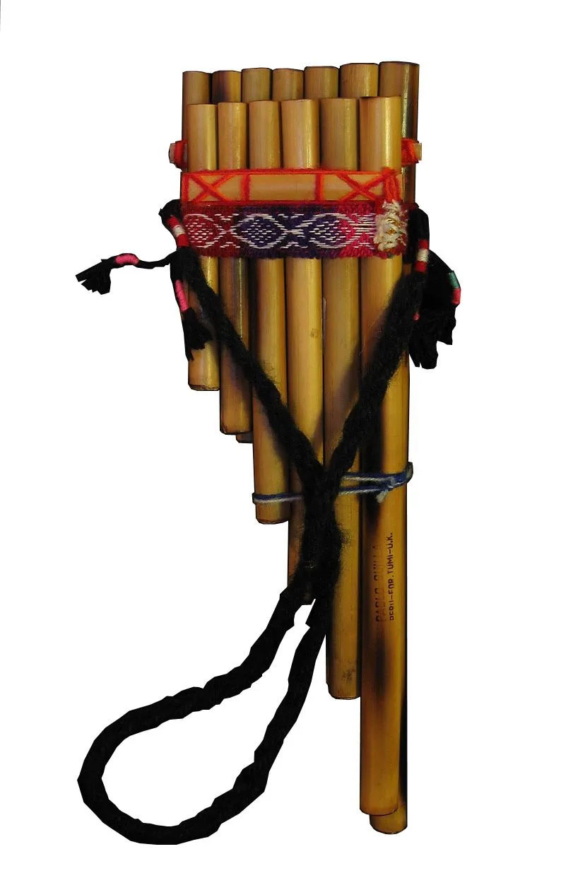 ChileanPanpipes-cutout.jpg