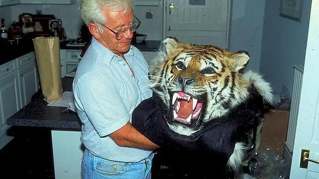 China admite que permite el comercio de las pieles de los tigres ...