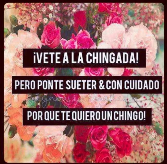 A la Chingada | Frases Groseras | Pinterest