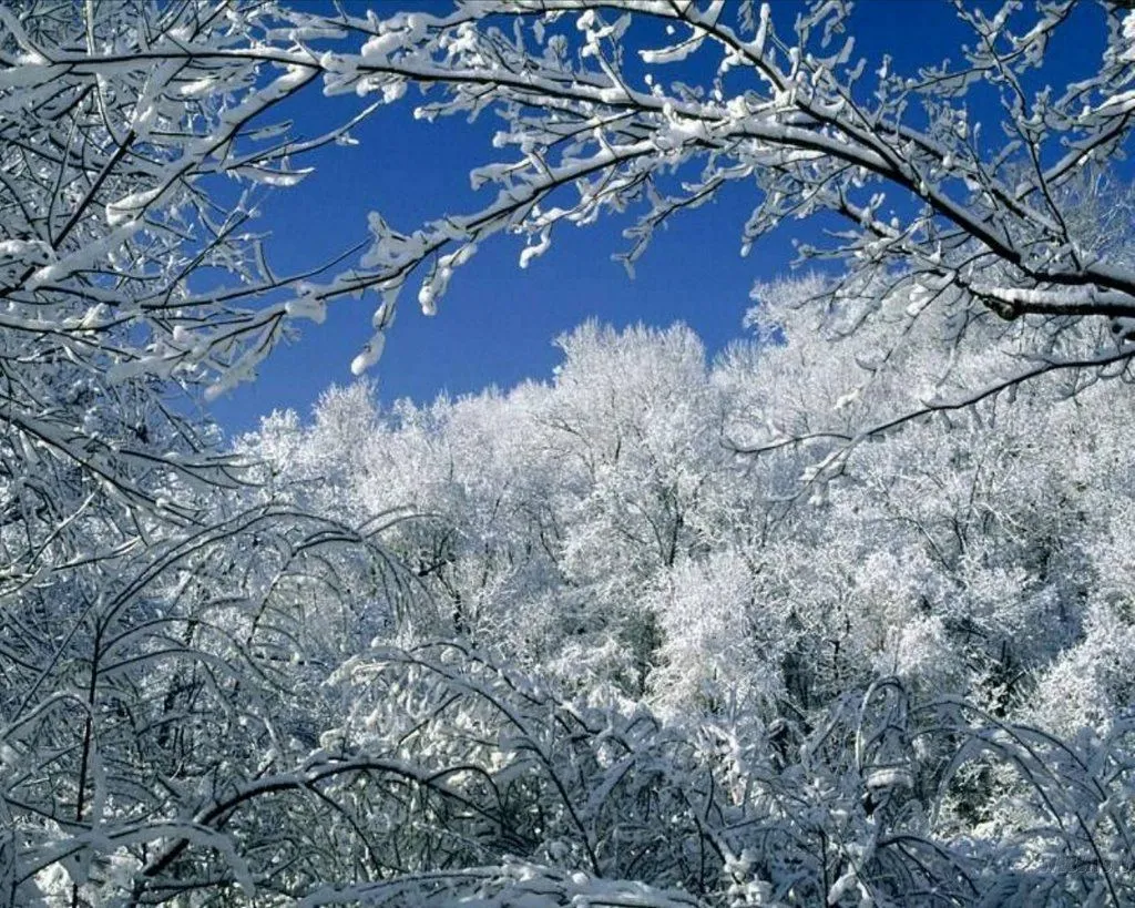 Chiscolin-Chiscolina: ESTÁ NEVANDO!!!!