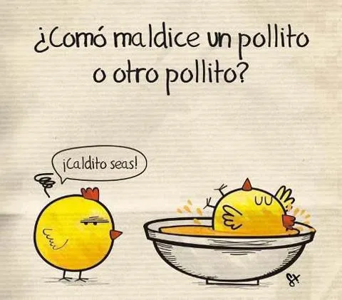 CHISTE CORTO: ¿CÓMO MALDICE UN POLLITO A OTRO? | FRASES CON ...