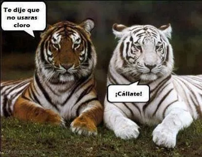 Chistes y anécdotas de Tigres