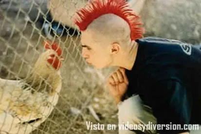 algo muy chistoso, parecidos - Taringa!