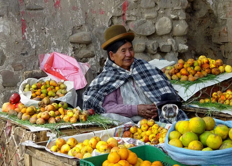 chola boliviana - Taringa!