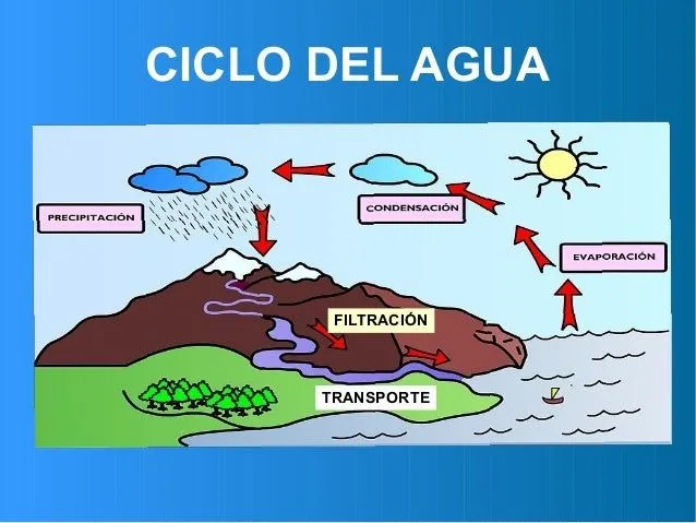 El ciclo del agua