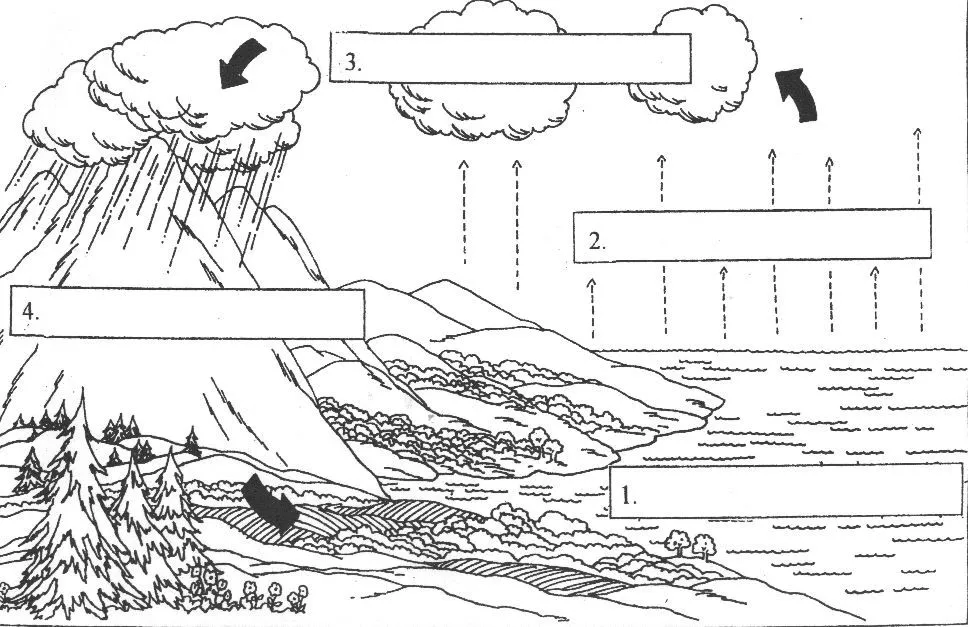 Ciclo del agua para completar - Imagui