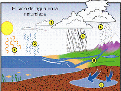 Ciclo del agua para dibujar - Imagui