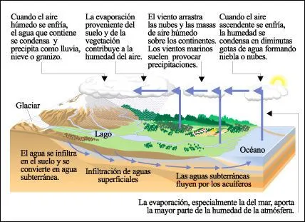 El ciclo del agua explicacion - Imagui