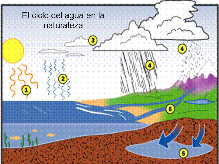 Dibujos del ciclo hidrológico - Imagui