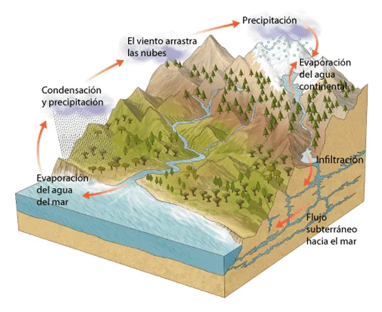 Ciclo del agua: Imagenes Ciclo Del Agua