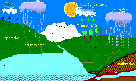 El Ciclo del Agua (Infoagua)