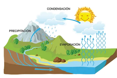 Ciclo hidrologico animado - Imagui