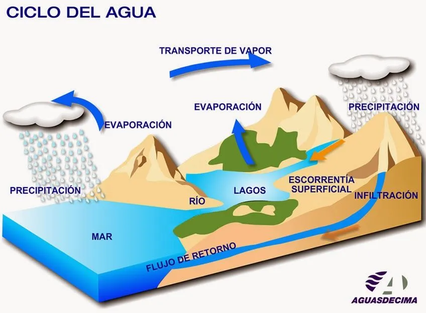 CICLO DEL AGUA PARA NIÑOS DE PRIMARIA : FICHAS PARA NIÑOS