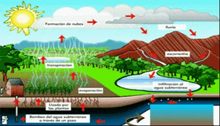 Ciclo del agua con nombres - Imagui