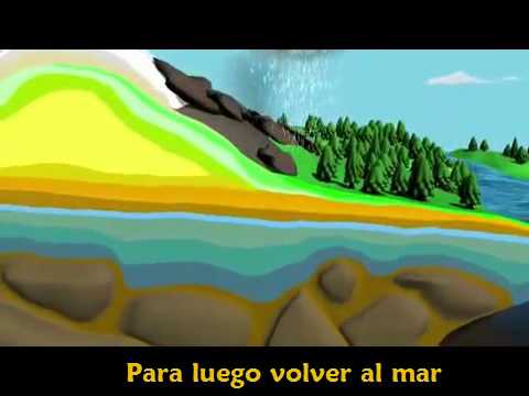 El ciclo del agua - YouTube