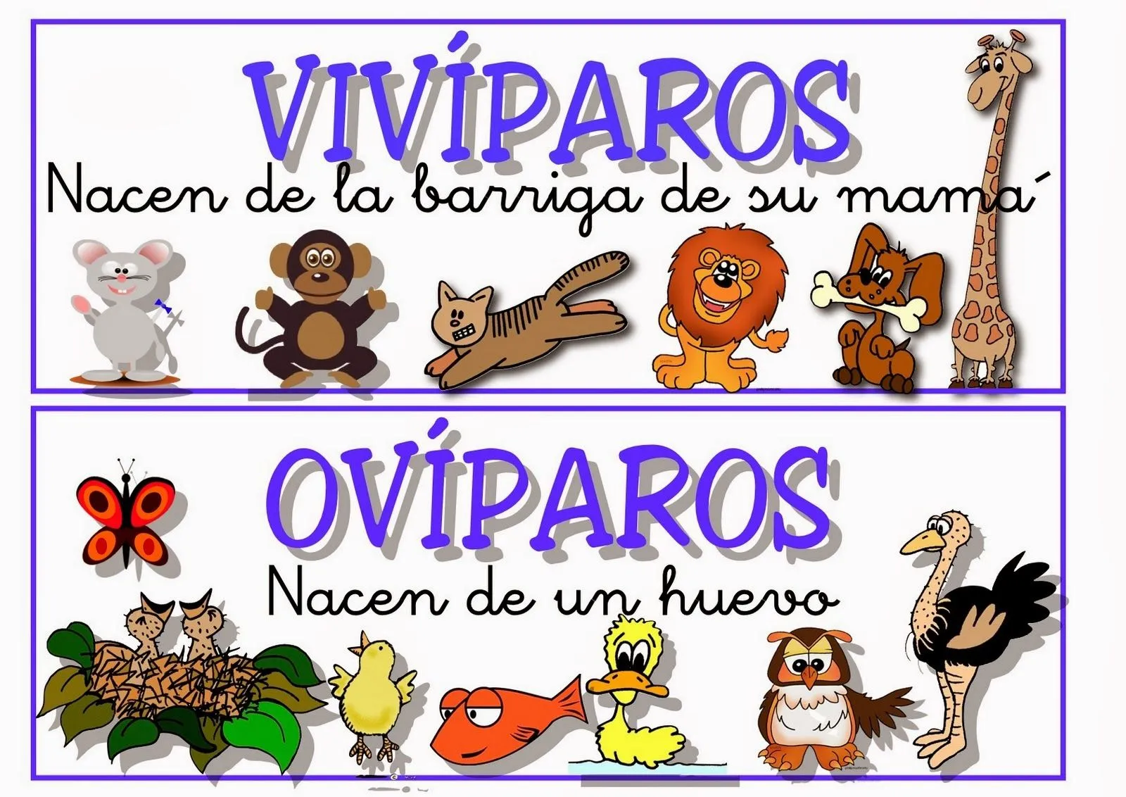 Ciclo Escolar: Animales Ovíparos y Vivíparos.