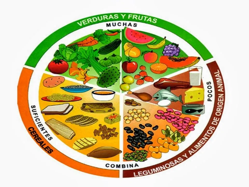 Ciclo Escolar: El plato del bien comer - Beneficios