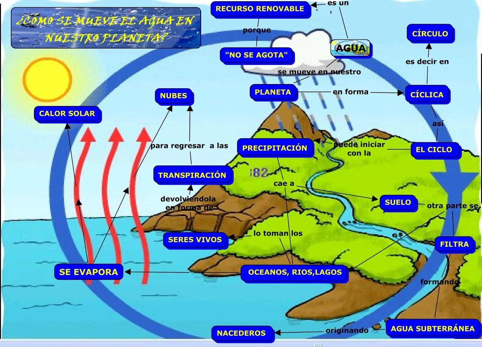 Ciclo del H2O: Esquema del ciclo del agua