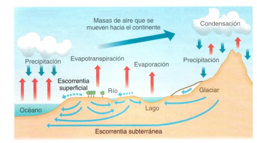 CICLO HIDROLÓGICO | EL AGUA: IMÁGENES, FOLLETOS, AFICHES ...