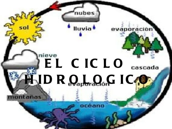 El ciclo hidrologico (trabajo de naturales de cristian y natalia)