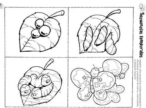 El ciclo de vida del ser humano para colorear - Imagui