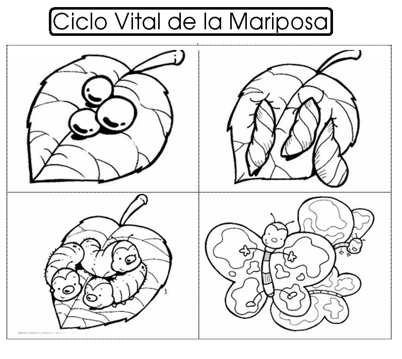 El ciclo vital del ser humano para colorear - Imagui