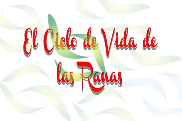 CICLO DE VIDA DE LA RANA on Vimeo