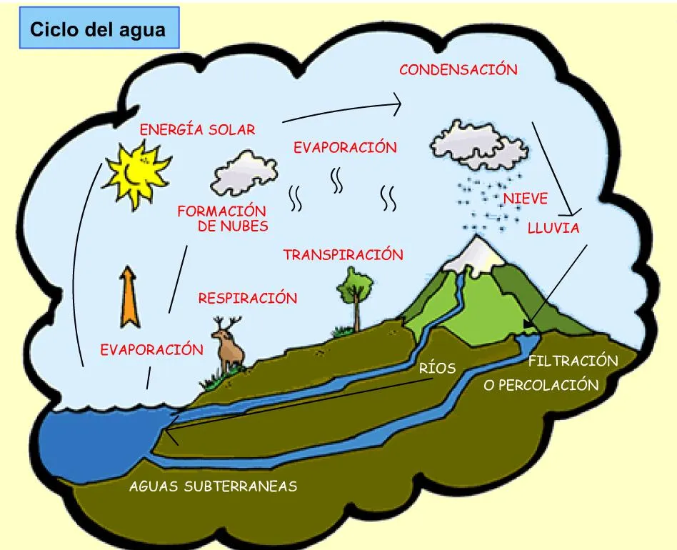 Ciclos de la Materia: mayo 2010